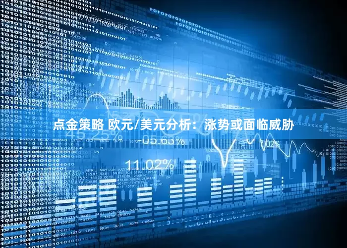 点金策略 欧元/美元分析：涨势或面临威胁