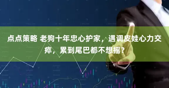 点点策略 老狗十年忠心护家，遇调皮娃心力交瘁，累到尾巴都不想摇？