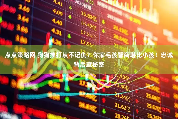 点点策略网 狗狗挨打从不记仇？你家毛孩智商堪比小孩！忠诚背后藏秘密