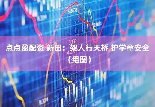 点点盈配资 新田：架人行天桥 护学童安全（组图）